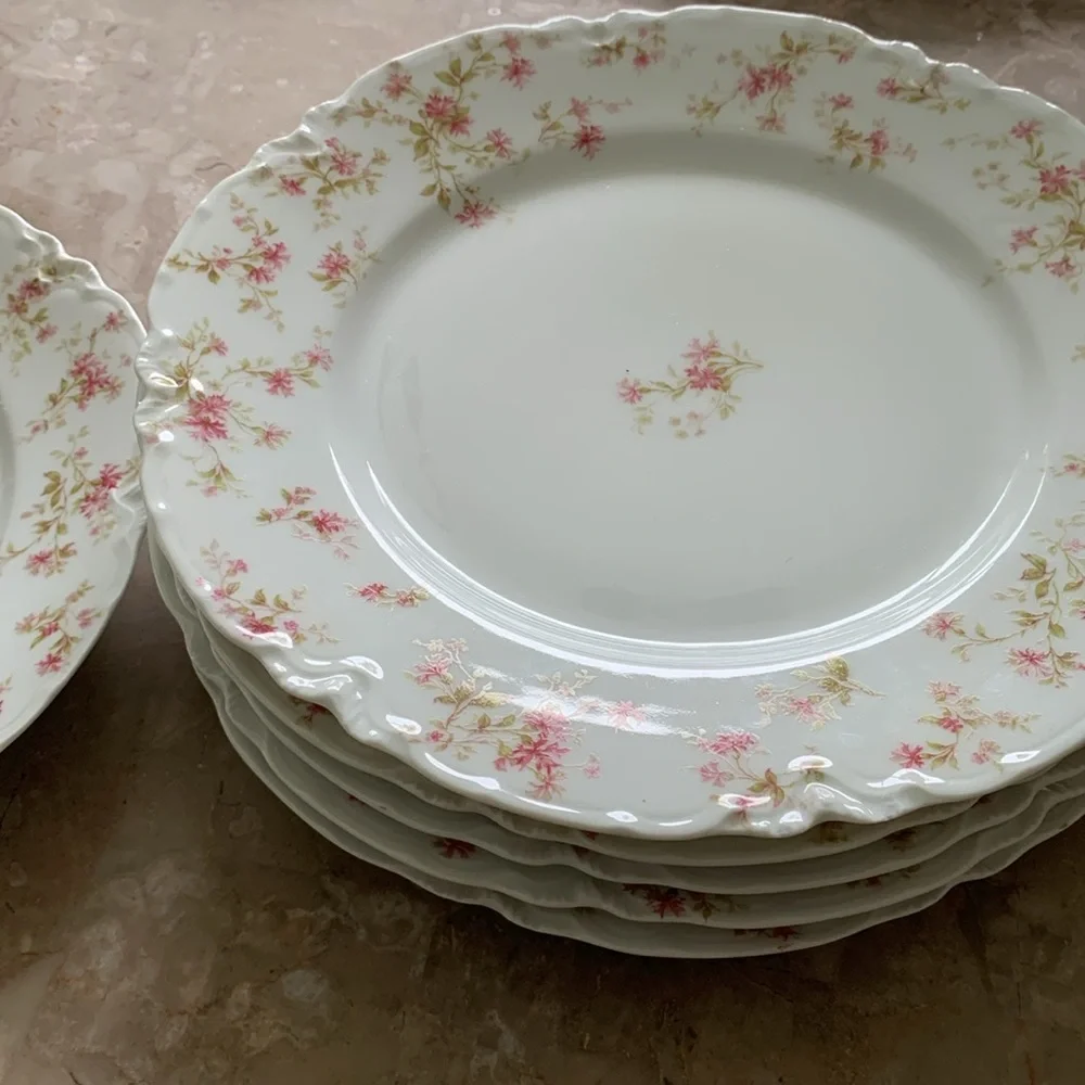 6 Vintage HAVILAND LIMOGES‎ France Fine China Pink FLOWERS 9 1/2
